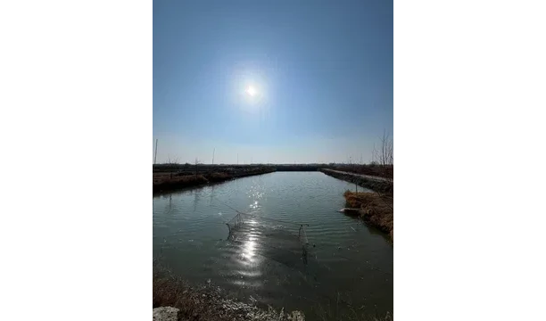 Здание, 1-комн., 21 000 м², 1/1 этаж
