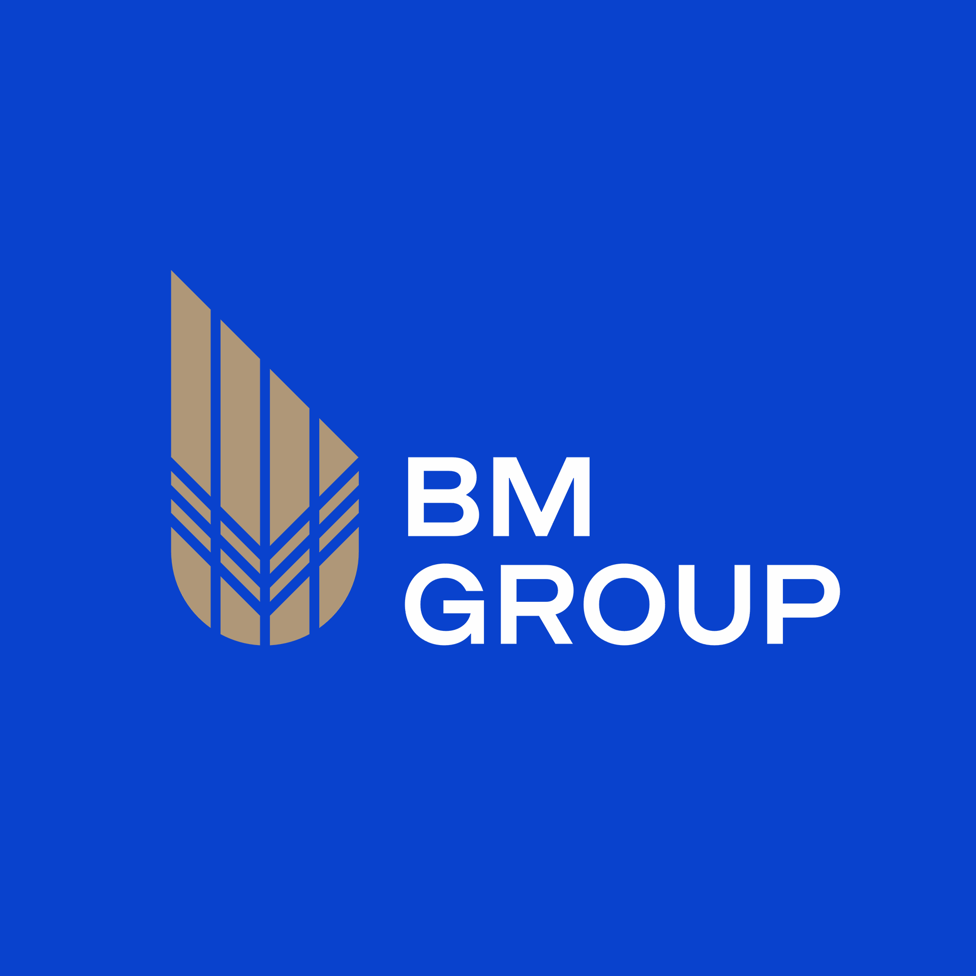 Застройщик BM GROUP-CONSTRUCTION