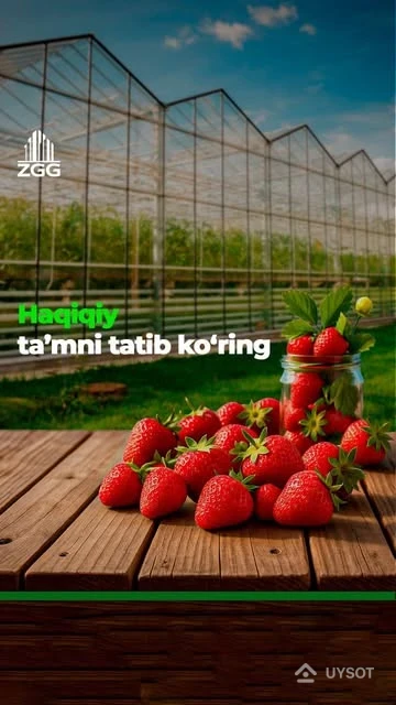 "ZARAFSHAN GOLDEN GROUP" компаниясига қарашли замонавий иссиқхоналар мажмуасида Голландия технологиялари ва гидропоника усули асосида етиштирилаётган юқори сифатли клубника маҳсулоти халқимиз дастурхонига табиий ва фойдали озуқа сифатида етказиб берилмоқда.
Мазкур клубника маҳсулоти тоза ва экологик муҳитда, замонавий агротехнологиялар ёрдамида парвариш қилинади. Гидропоника усули эса, ўсимликларни соғлом ўсиши, максимал витамин ва минерал моддалар сақланишини таъминлайди. Бу эса, маҳсулотни нафақат мазали, балки жуда фойдали ҳам қилади.
"ZARAFSHAN GOLDEN GROUP" маҳсулотлари ўзининг сифати, тозалиги ва мазаси билан маҳаллий бозорда юқори талабга эга.
БИЗ ҲАЁТНИНГ ЯНГИ СИФАТИНИ ЯРАТАМИЗ! "ZARAFSHAN GOLDEN GROUP" компаниясига қарашли замонавий иссиқхоналар мажмуасида Голландия технологиялари ва гидропоника усули асосида етиштирилаётган юқори сифатли клубника маҳсулоти халқимиз дастурхонига табиий ва фойдали озуқа сифатида етказиб берилмоқда.
Мазкур клубника маҳсулоти тоза ва экологик муҳитда, замонавий агротехнологиялар ёрдамида парвариш қилинади. Гидропоника усули эса, ўсимликларни соғлом ўсиши, максимал витамин ва минерал моддалар сақланишини таъминлайди. Бу эса, маҳсулотни нафақат мазали, балки жуда фойдали ҳам қилади.
"ZARAFSHAN GOLDEN GROUP" маҳсулотлари ўзининг сифати, тозалиги ва мазаси билан маҳаллий бозорда юқори талабга эга.
БИЗ ҲАЁТНИНГ ЯНГИ СИФАТИНИ ЯРАТАМИЗ!